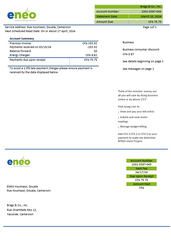 Cameroon ENEO electricity business utility bill template in Word and Pdf formats